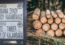 Προσπάθειες για να ξαναζωντανέψει η Κρατική Βιομηχανία Ξύλου Καλαμπάκας