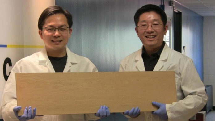 super_wood_1